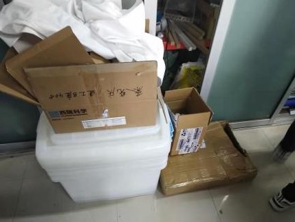 新葡京博彩官网